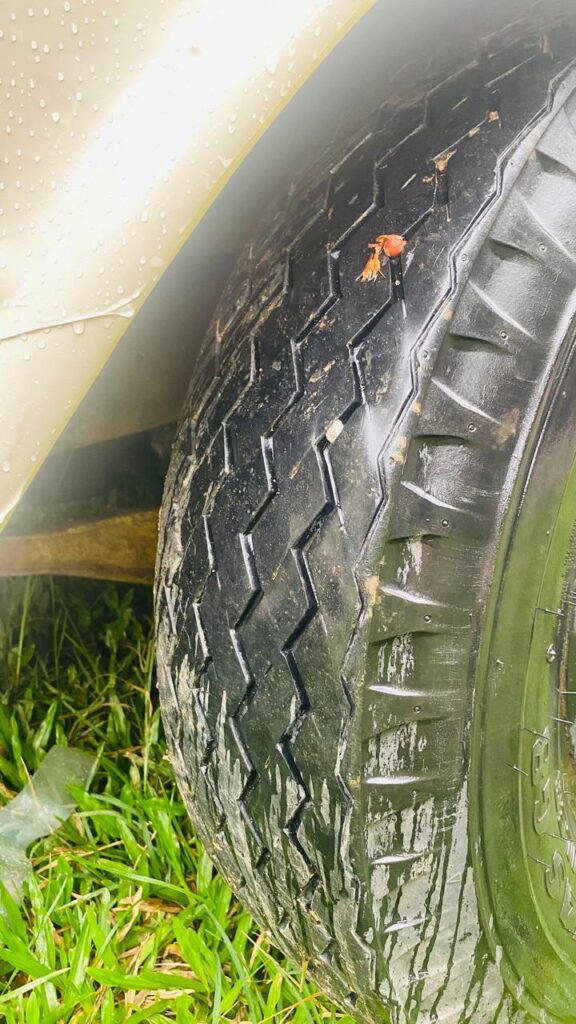 Whatsapp Image 2026 04 22 At 20.52.29